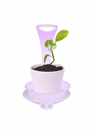 Näve Leuchten LED Pflanzen-Tischleuchte H:24cm Weiß 11 Näve Leuchten LED Pflanzen-Tischleuchte H:24cm Weiß – Bild 9