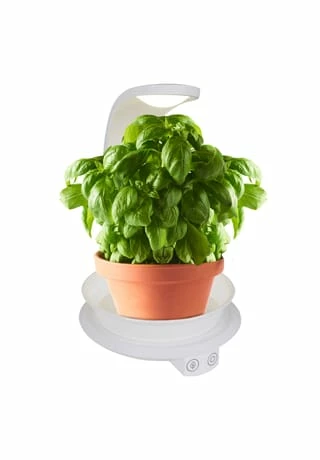 Näve Leuchten LED Pflanzen-Tischleuchte H:24cm Weiß 12 Näve Leuchten LED Pflanzen-Tischleuchte H:24cm Weiß – Bild 10